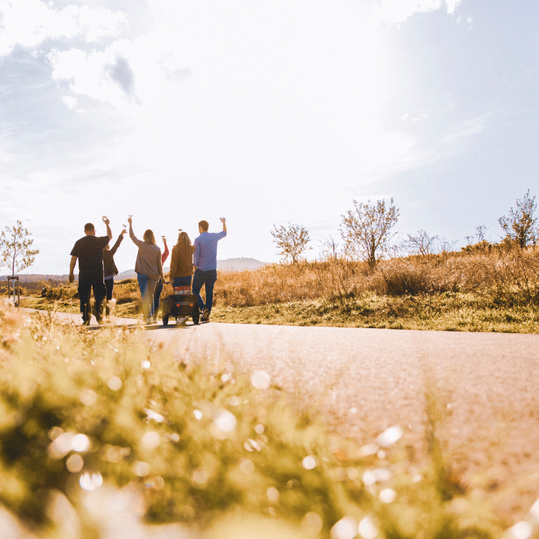 Abbildung des Produktes: GEOLOGISCHE WEINBERGSWANDERUNG - SA. 25.04.26 14 UHR - SW10189