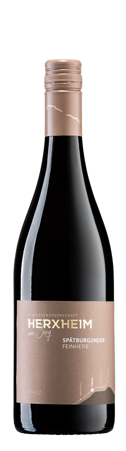 Abbildung des Produktes: Spätburgunder Rotwein feinherb, HANG - 704