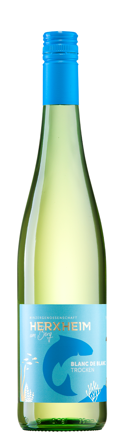 Abbildung des Produktes: Blanc de Blanc  Weißweincuvée trocken, HANG - 737