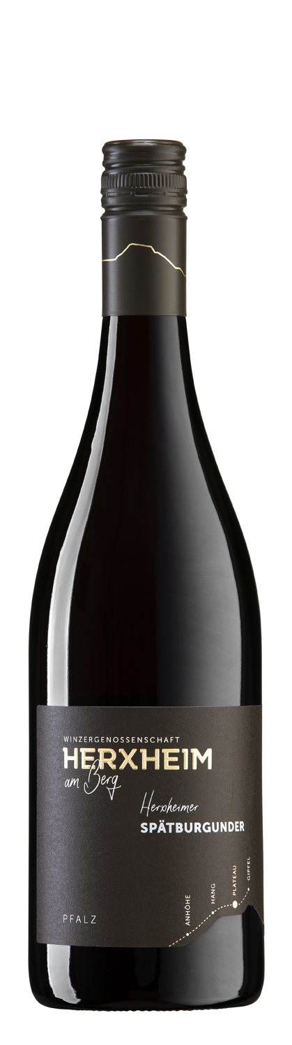 Abbildung des Produktes: Herxheimer Spätburgunder trocken, PLATEAU - 769