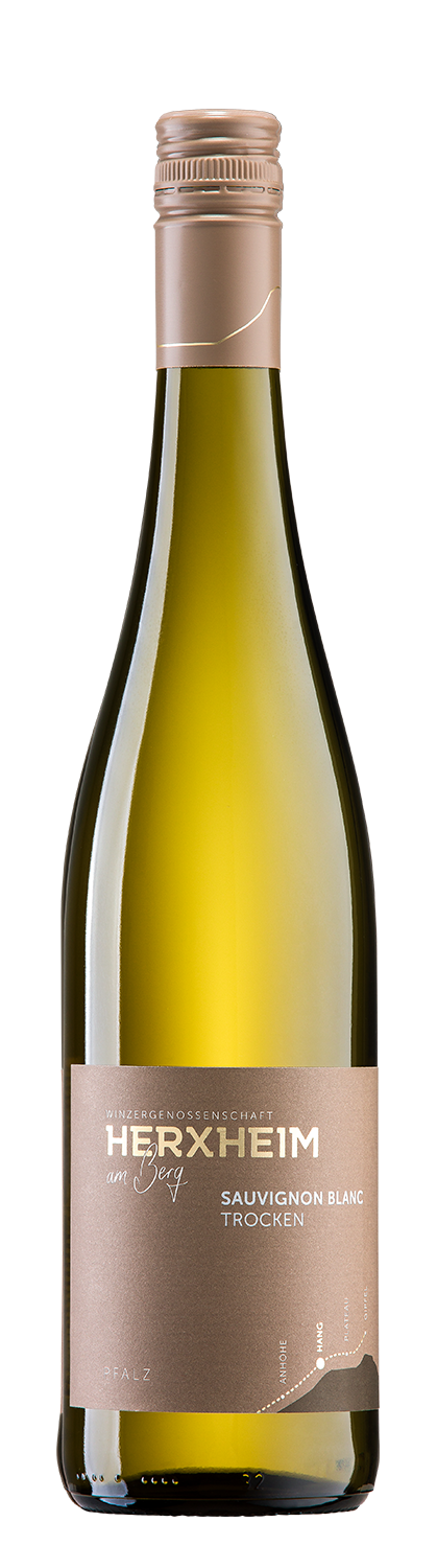 Abbildung des Produktes: Sauvignon Blanc trocken, HANG - 759