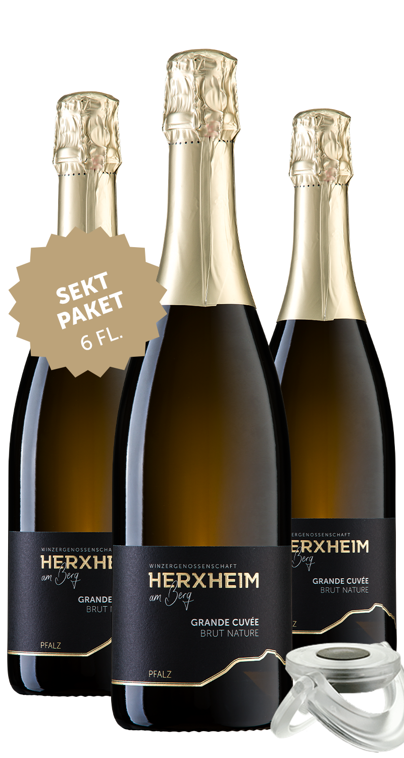 Abbildung des Produktes: Sekt Paket (6 Fl.)  - 503
