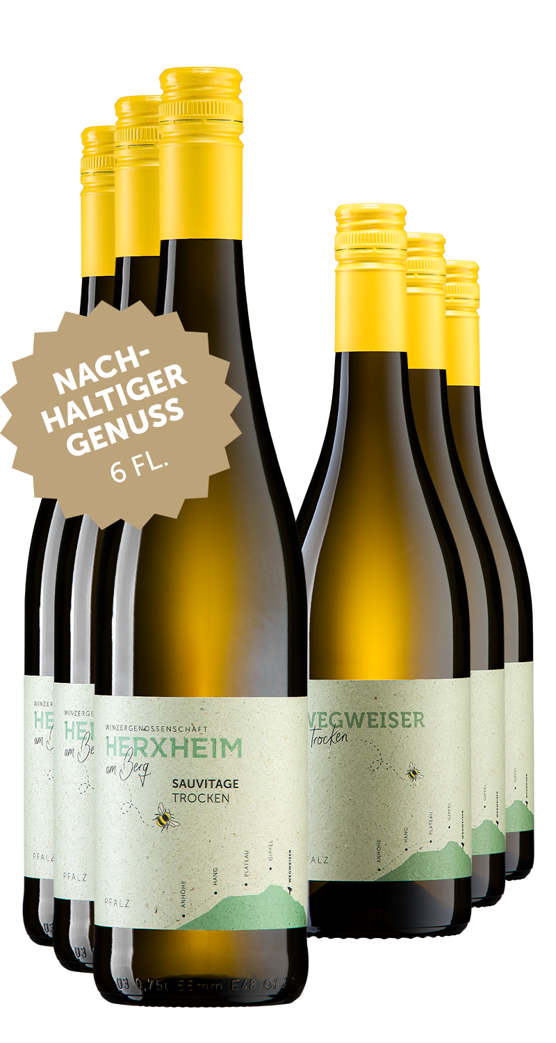 Abbildung des Produktes: Nachhaltiger Genuss (6 Fl.) - 124